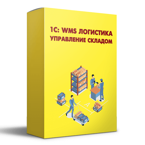 1С Логистика Управление складом 3.0 Электронная поставка — купить и заказать 1С Логистика в Ростове-на-Дону | автоматизация доставки, складской учёт и управление транспортом | Агентство Цифровых Решений NsDigital +7 (499) 398-22-92